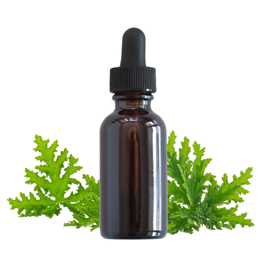 Citronella Essential Oil