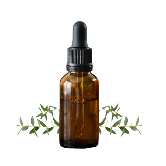 Eucalyptus Liquid Extract