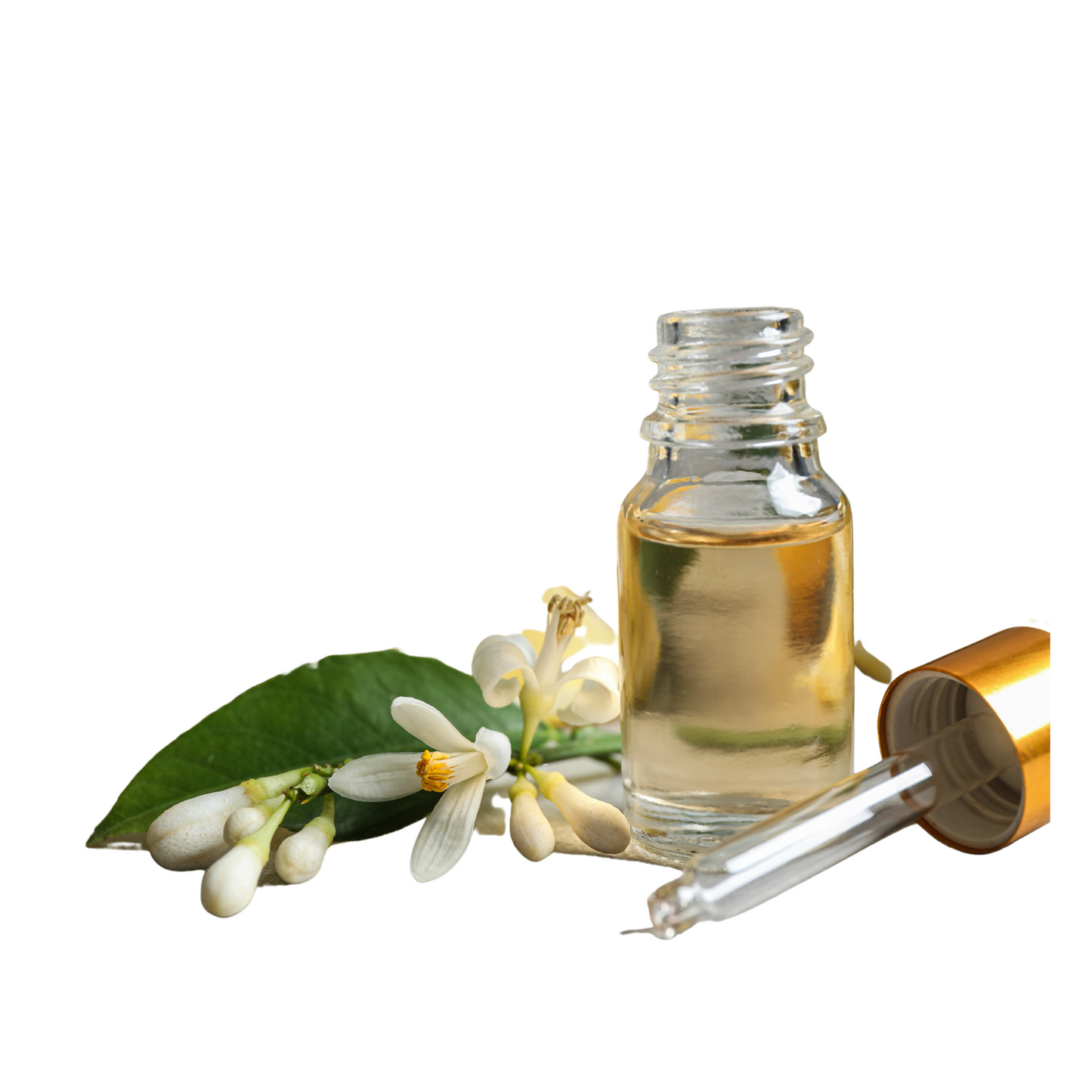 Lemon Fragrance Oil