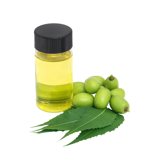 Neem Fragrance Oil