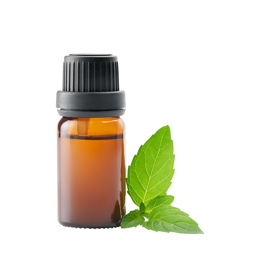 Peppermint Liquid Extract Water Soluble