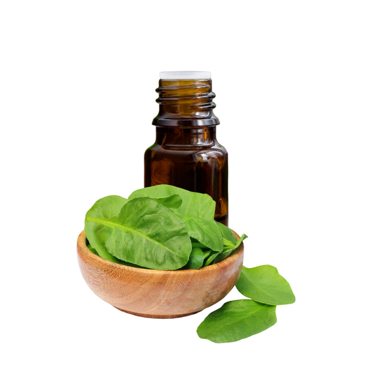 Spinach Liquid Extract Water Soluble
