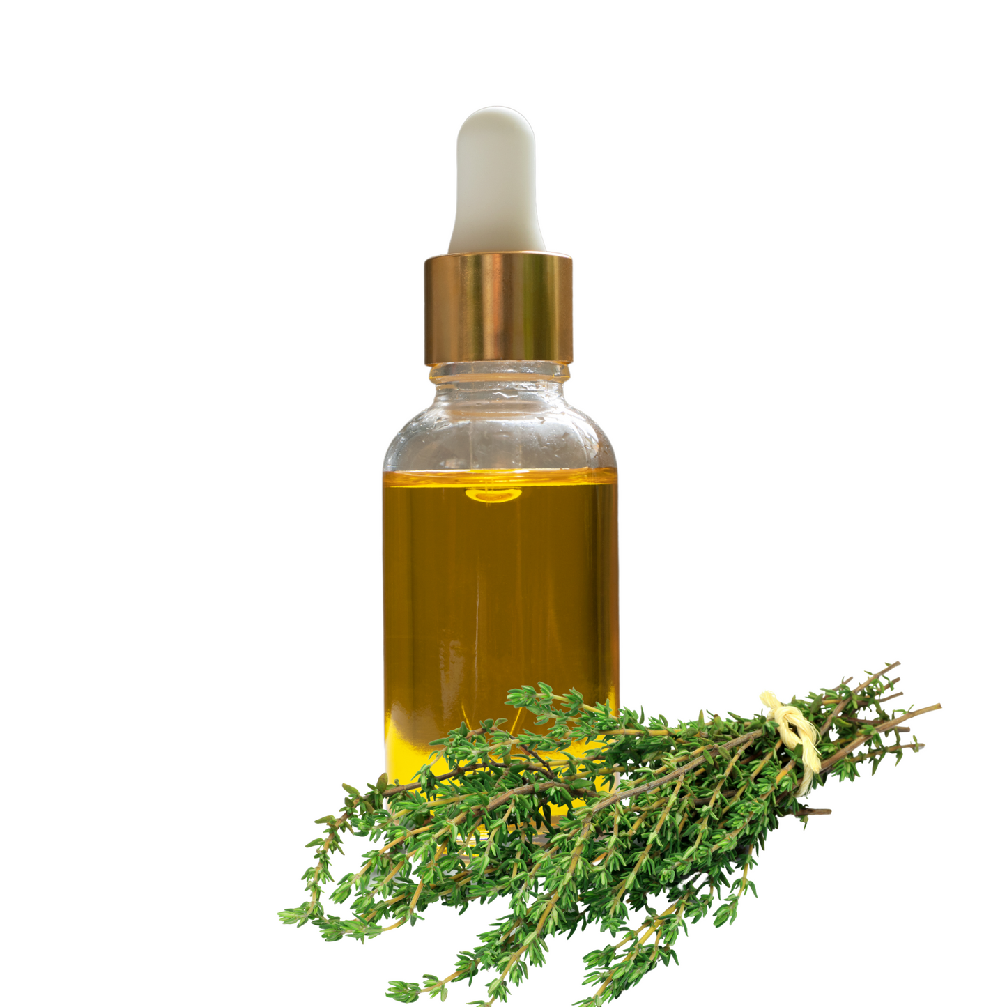 Thyme Liquid Extract Oil Soluble