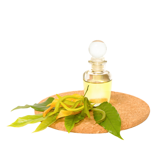 Ylang Ylang Essential Oil