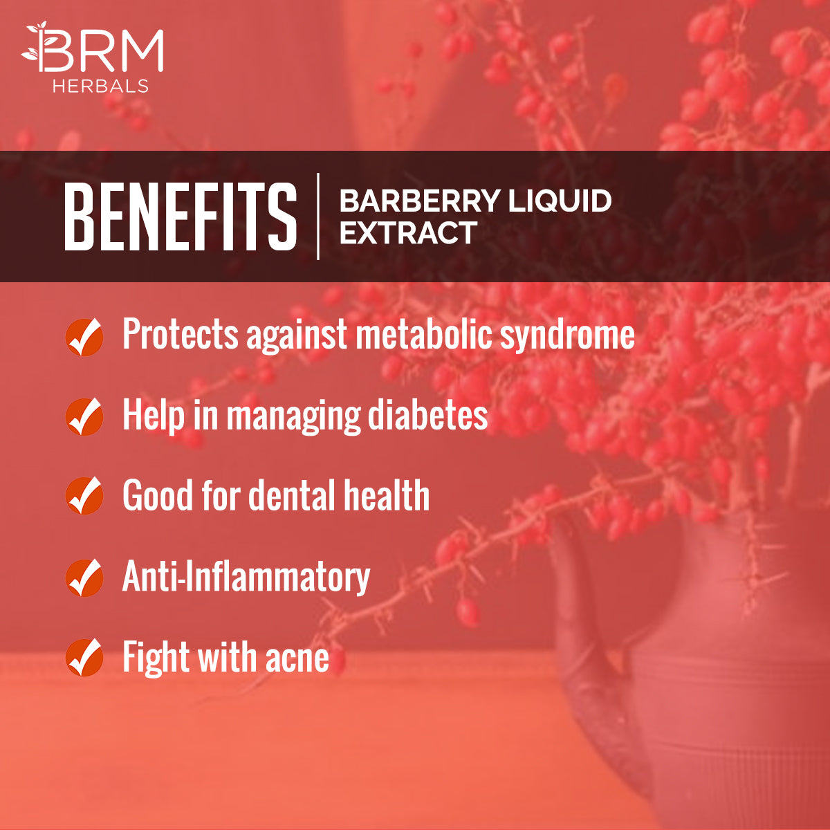 Barberry Liquid Extract - Water Soluble