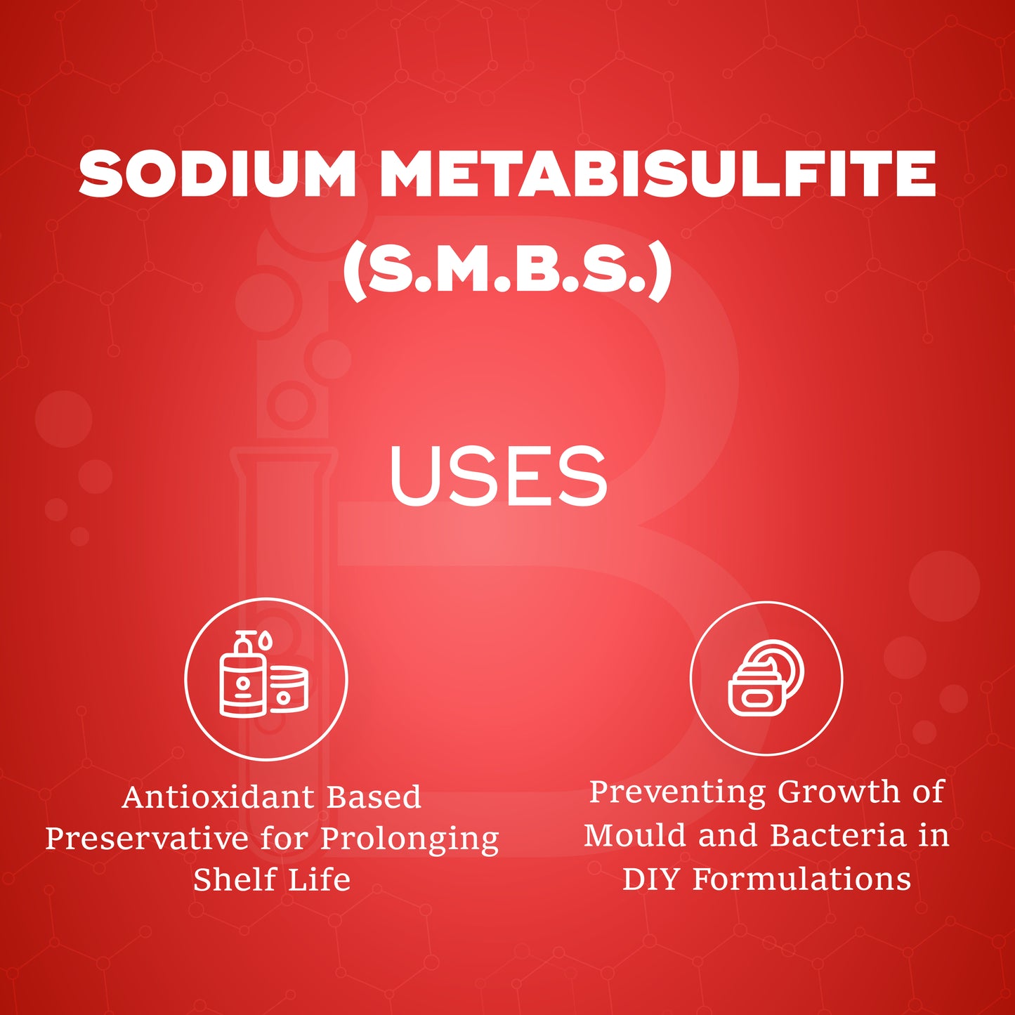 Sodium Meta Bi Sulphite (SMBS)