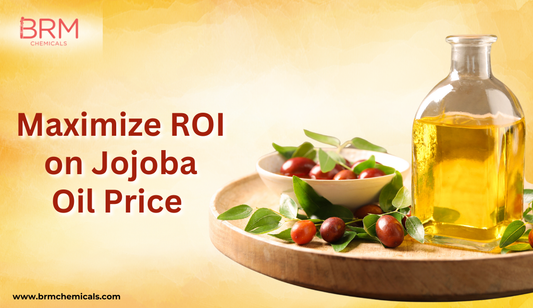 Jojoba Oil Price