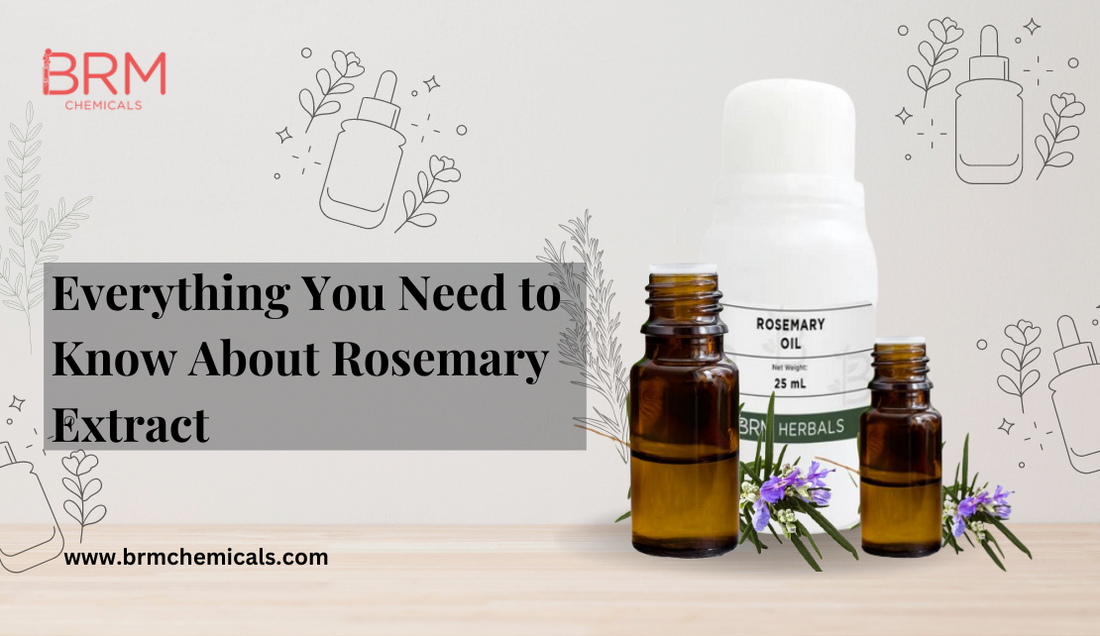 Everything You Need to Know About Rosemary Extract