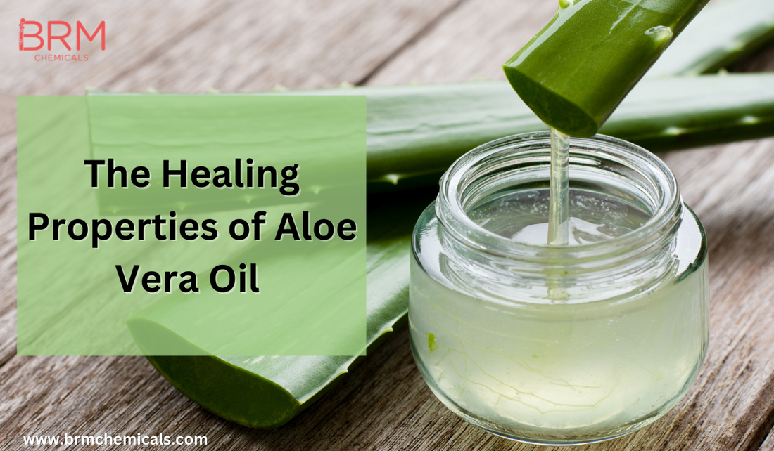 The Healing Properties of Aloe Vera Oil