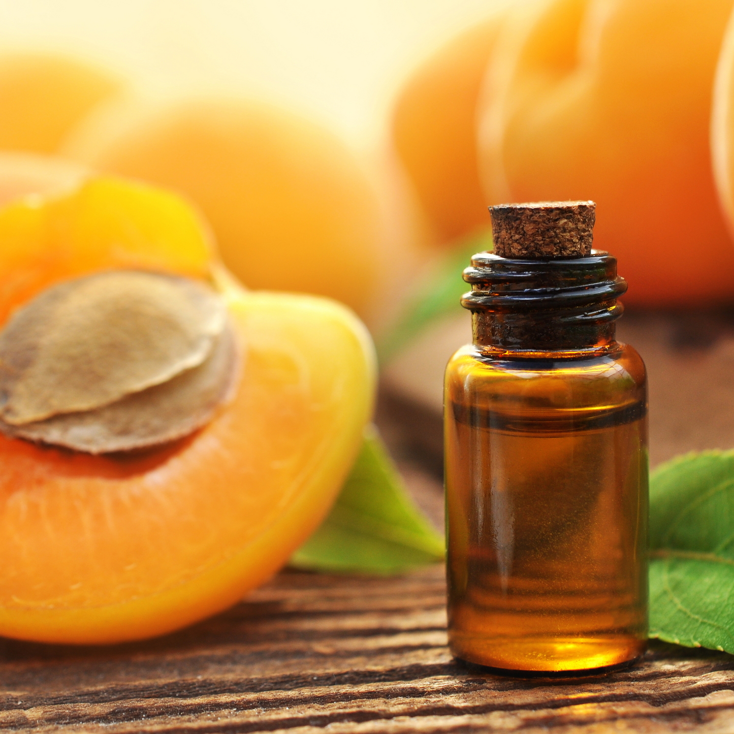 Apricot Oil