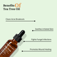 Tea Tree Essential Oil by Scentalist