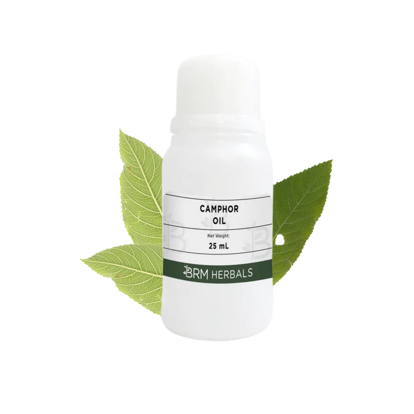 Camphor Essential Oil