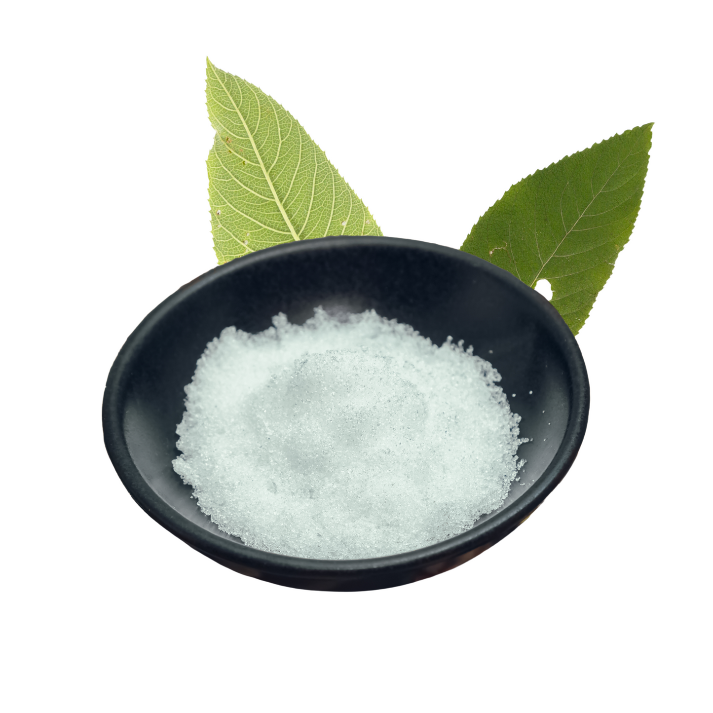 Camphor Powder