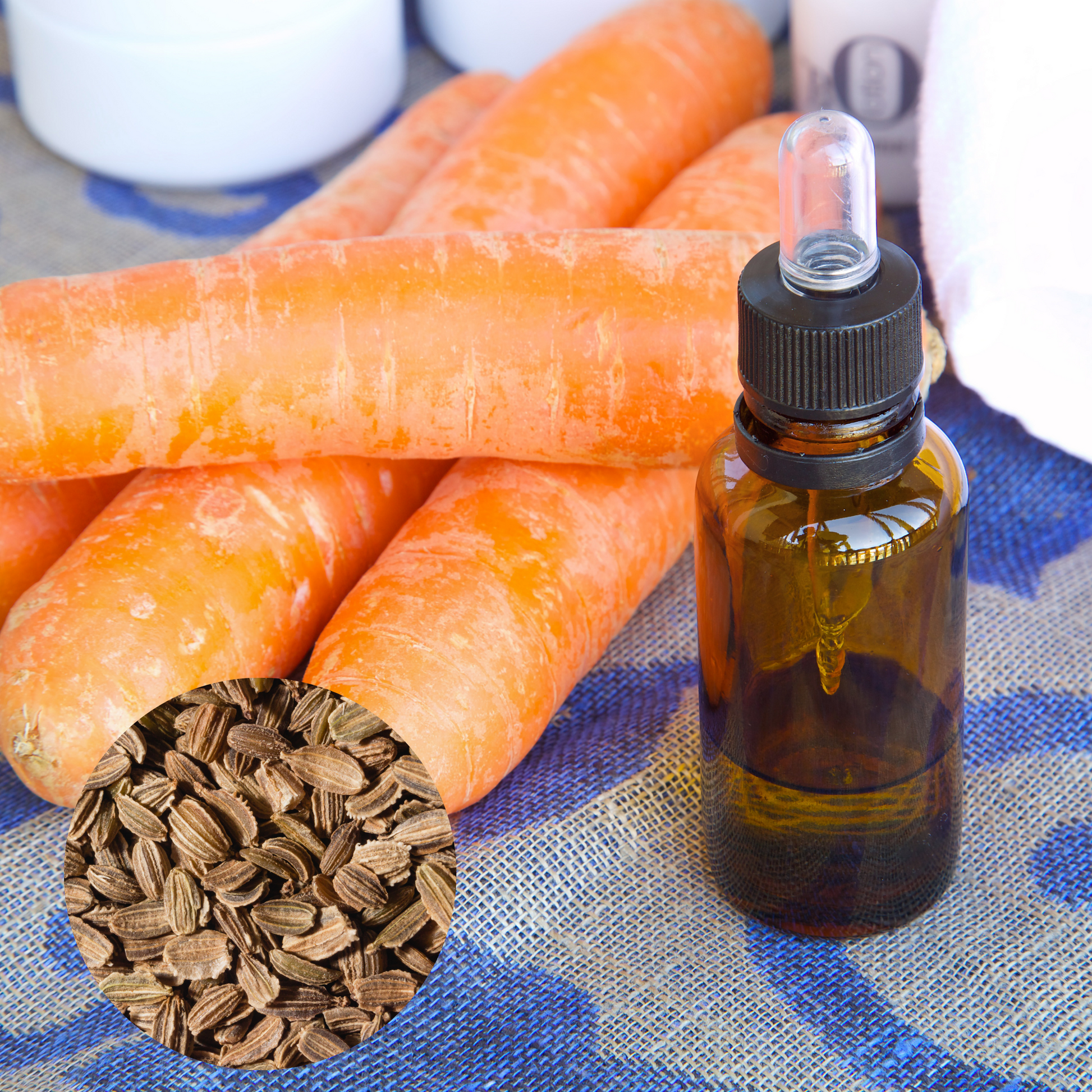 Carrot Seed Oil 100% Natural Pure Essential Oil – Shoprythm