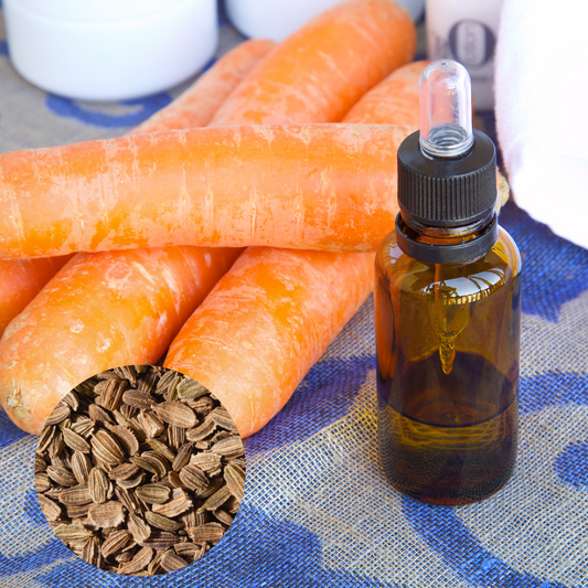 Carrot Seed Essential Oil