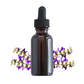 Clary Sage Essential Oil