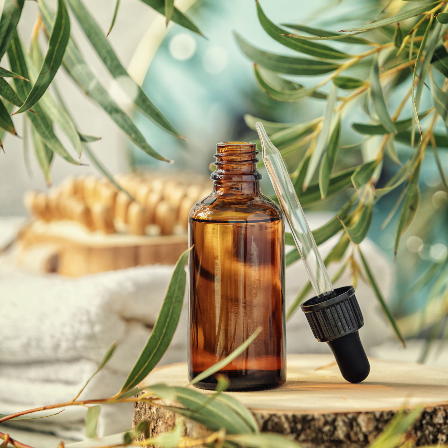 Eucalyptus Essential Oil