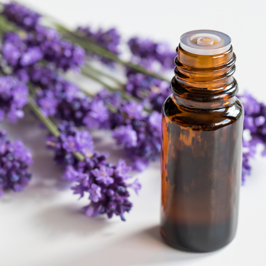 Lavender Fragrance Oil