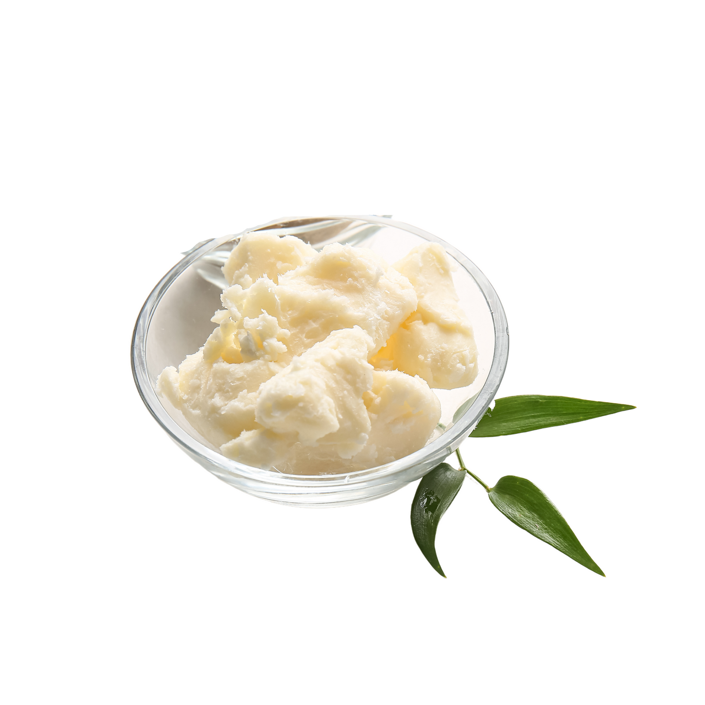 Moringa Butter